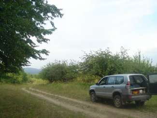 DSC09067.JPG